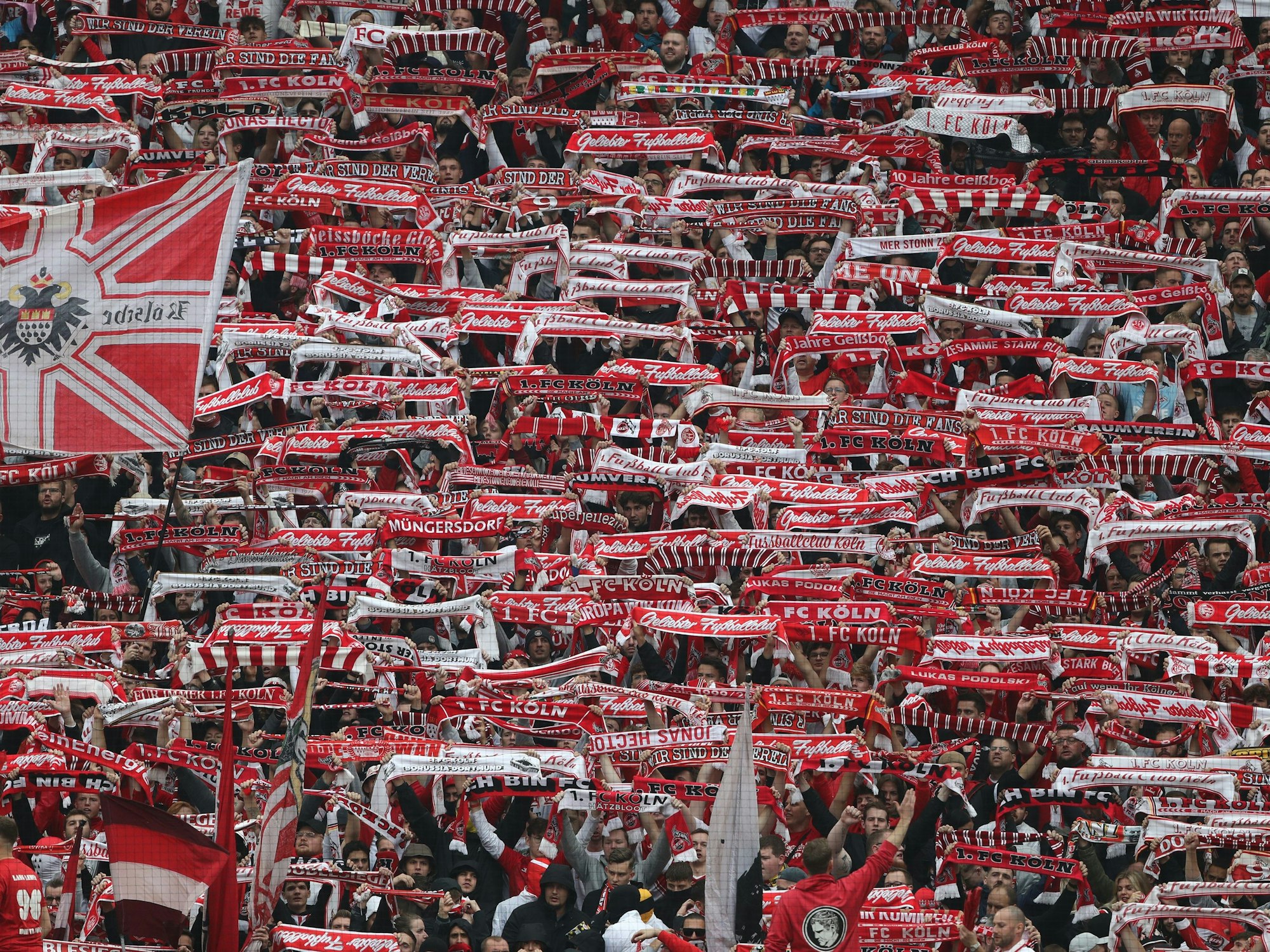 Fans des 1. FC Köln präsentieren ihre Schals.