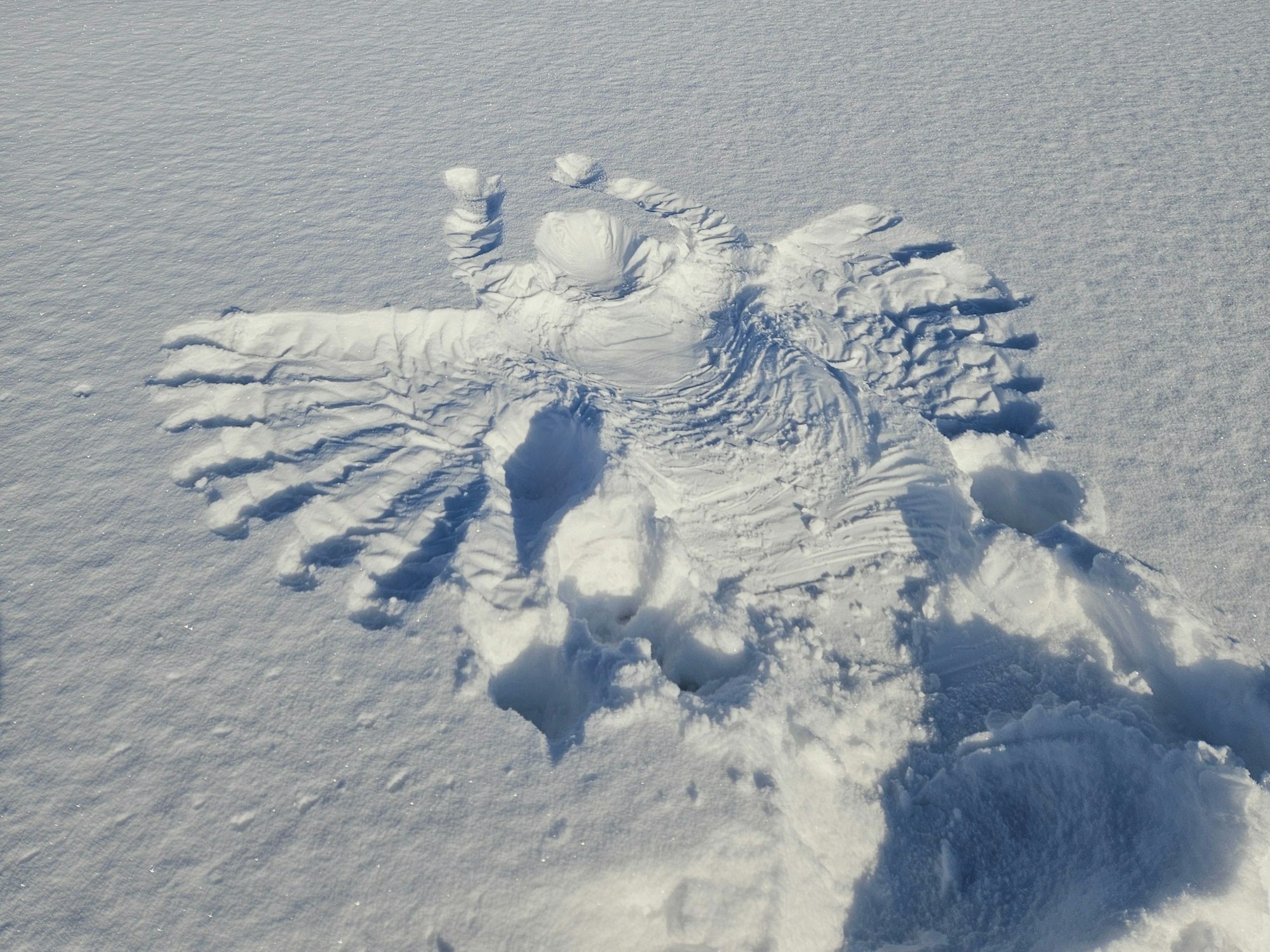 Vergängliche Kunst: Schnee-Engel auf verschneiter Wiese.