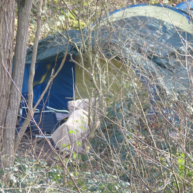 Zu sehen ist ein Zelt hinter Sträuchern und Bäumen.&nbsp;