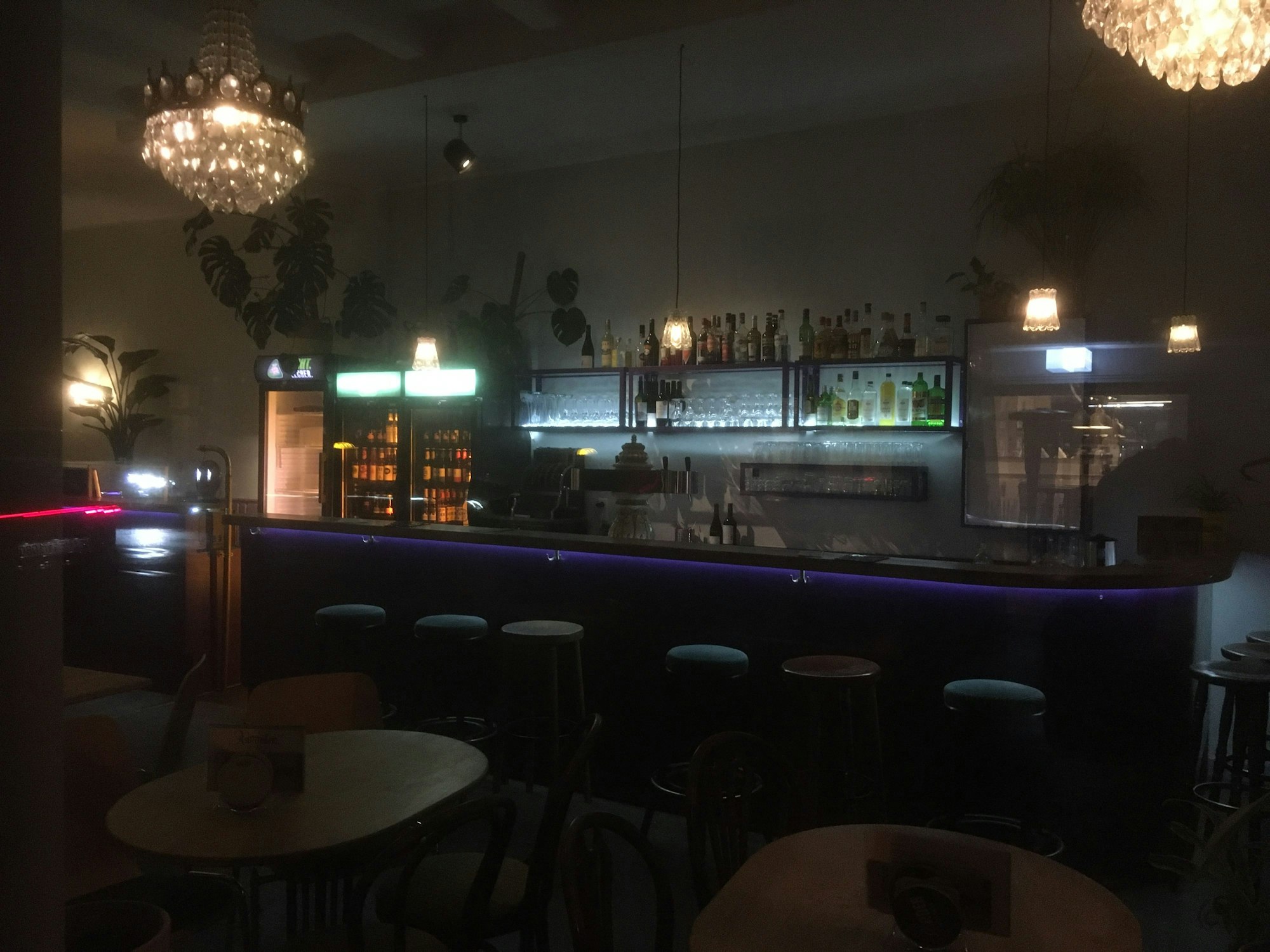Die Asimmetric Bar am Abend, man sieht die lila Bartheke und beleuchtete Bar