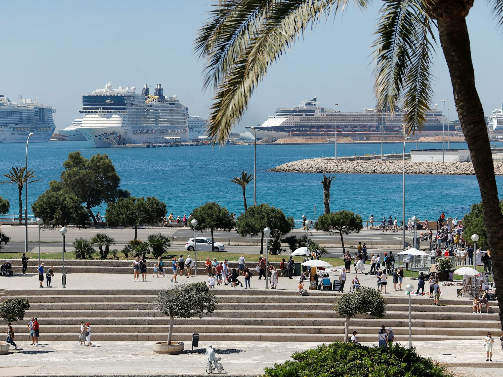 Blick auf den Hafen von Palma de Mallorca.