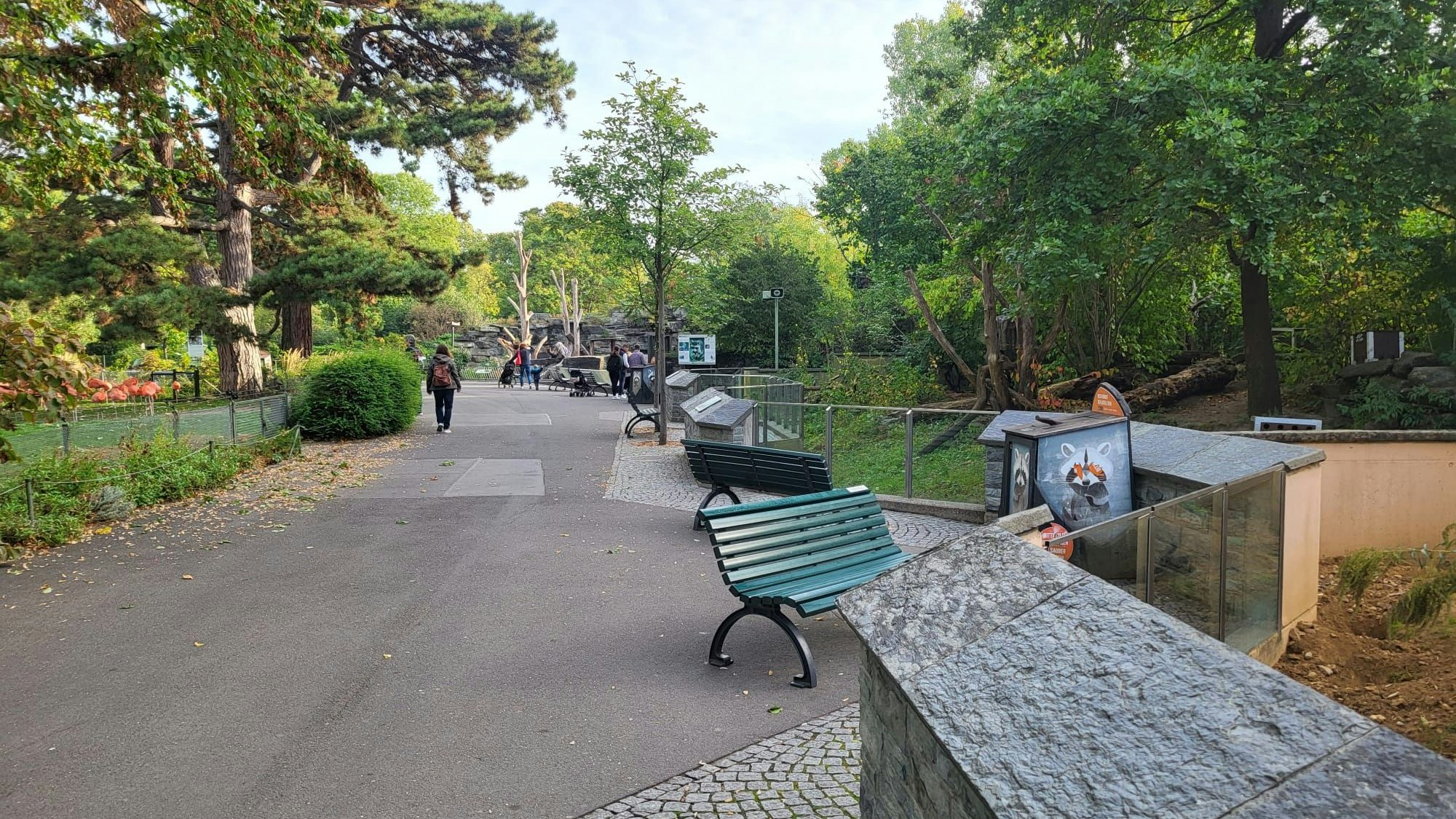 Foto aus dem Kölner Zoo, zu sehen ist der Bereich am Erdmännchen-Gehege.