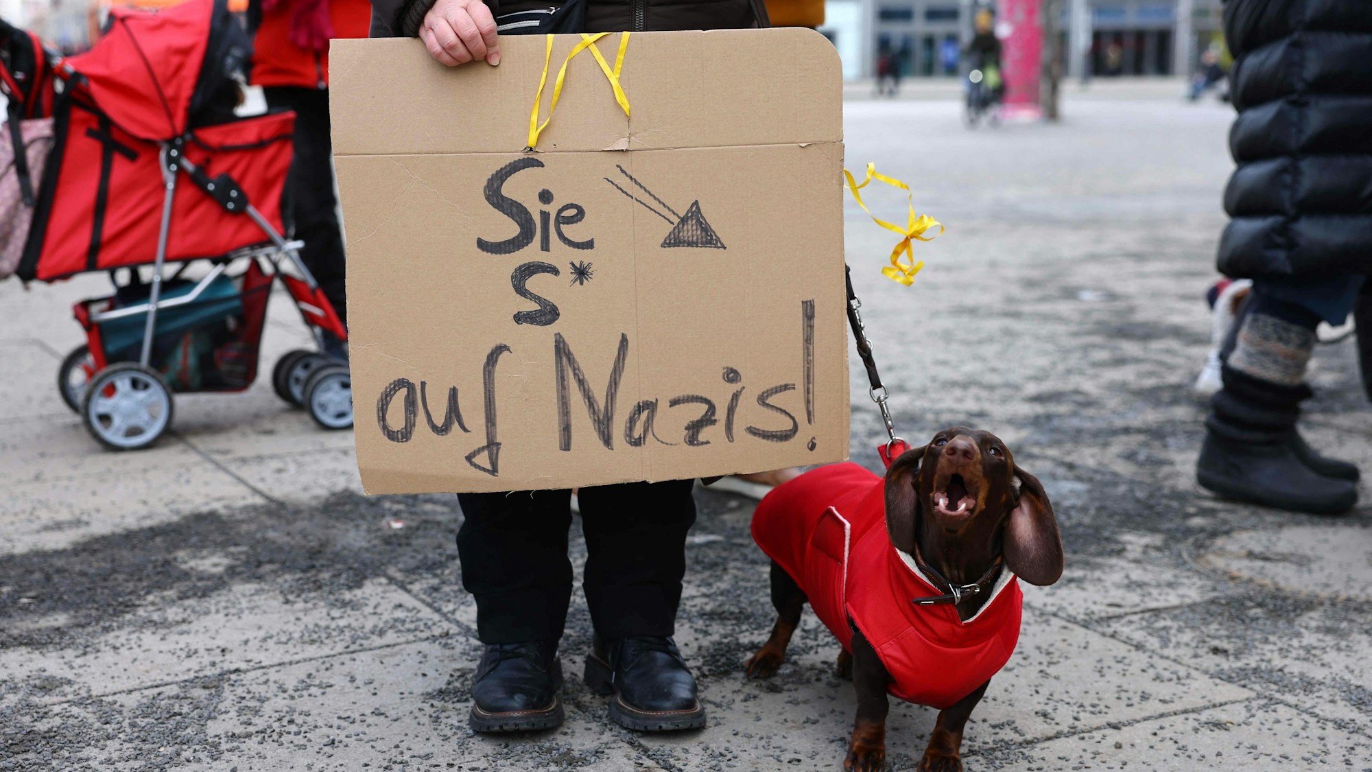 Protest gegen rechts durch einen Hundebesitzer.