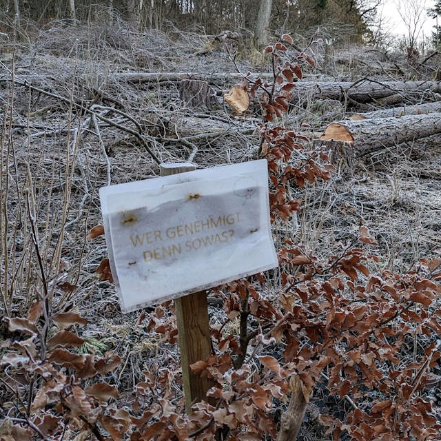 Auf einem Grundstück liegen mehrere gefällte Bäume, im Vordergrund steht ein Schild mit der Aufschrift „Wer genehmigt denn sowas?“