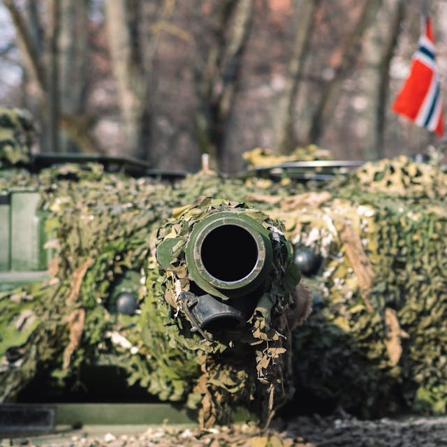 Panzerkampfwagen der norwegischen Armee mit Kanone und Tarnanstrich.