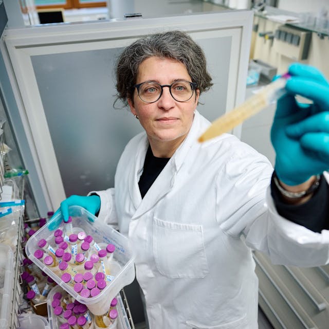 Toxikologin Yvonni Chovolou vom Landesamt für Natur, Umwelt und Verbraucherschutz konnte mit ihrem Team den Weichmacher Di-n-hexyl-Phthalat (DnHexP) in vielen Urinproben von Kleinkindern aus NRW nachweisen