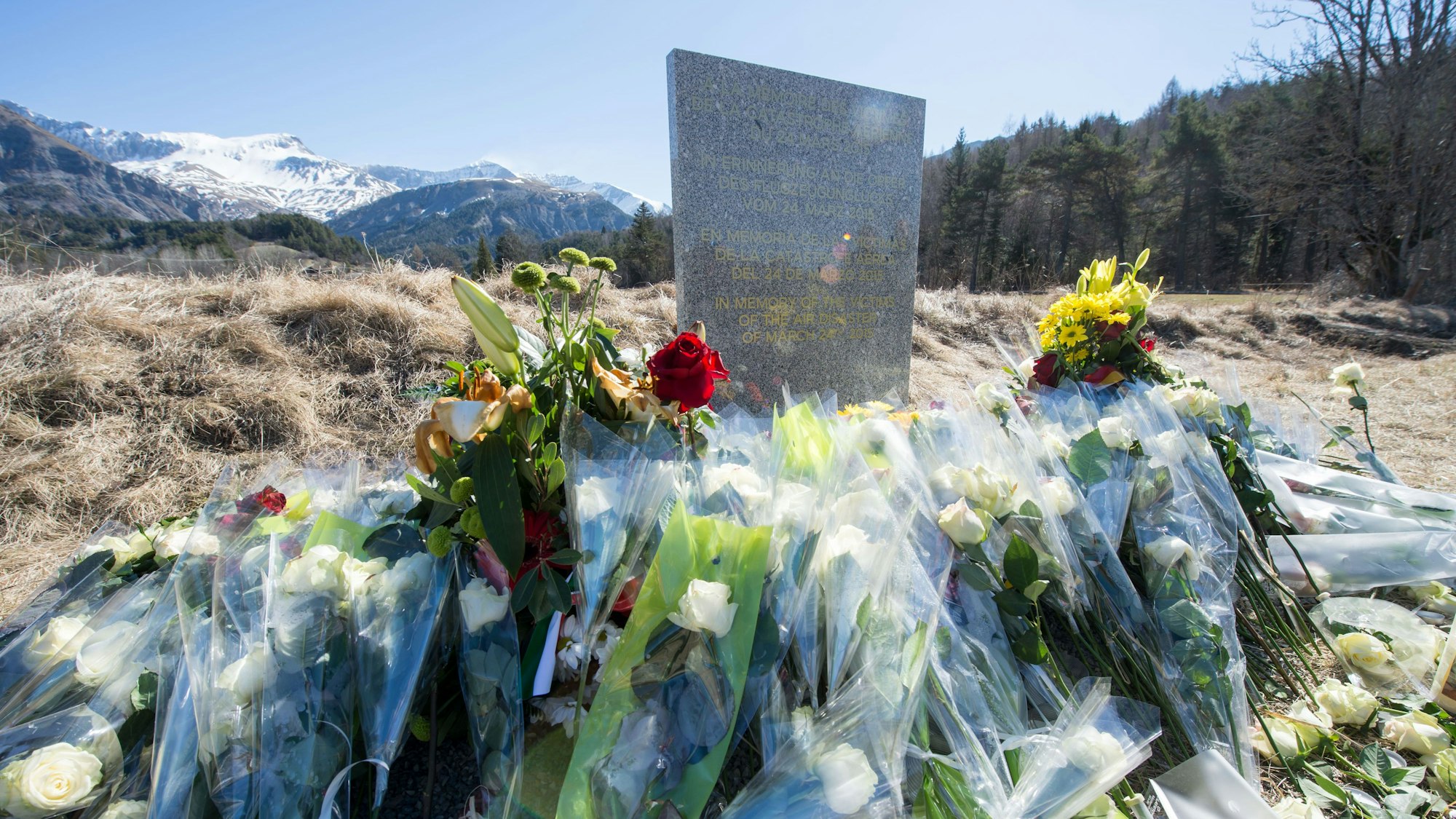 Inmitten von Blumen steht eine steinerne Gedenkstele mit der Aufschrift "In Erinnerung an die Opfer des Flugzeugunglücks vom 24. März 2015" in den vier Sprachen Englisch, Deutsch, Spanisch und Französisch in La Vernet, Frankreich, nahe der Unglücksstelle des abgestürzten Germanwings-Fluges 4U9525 vor dem Bergpanorama.