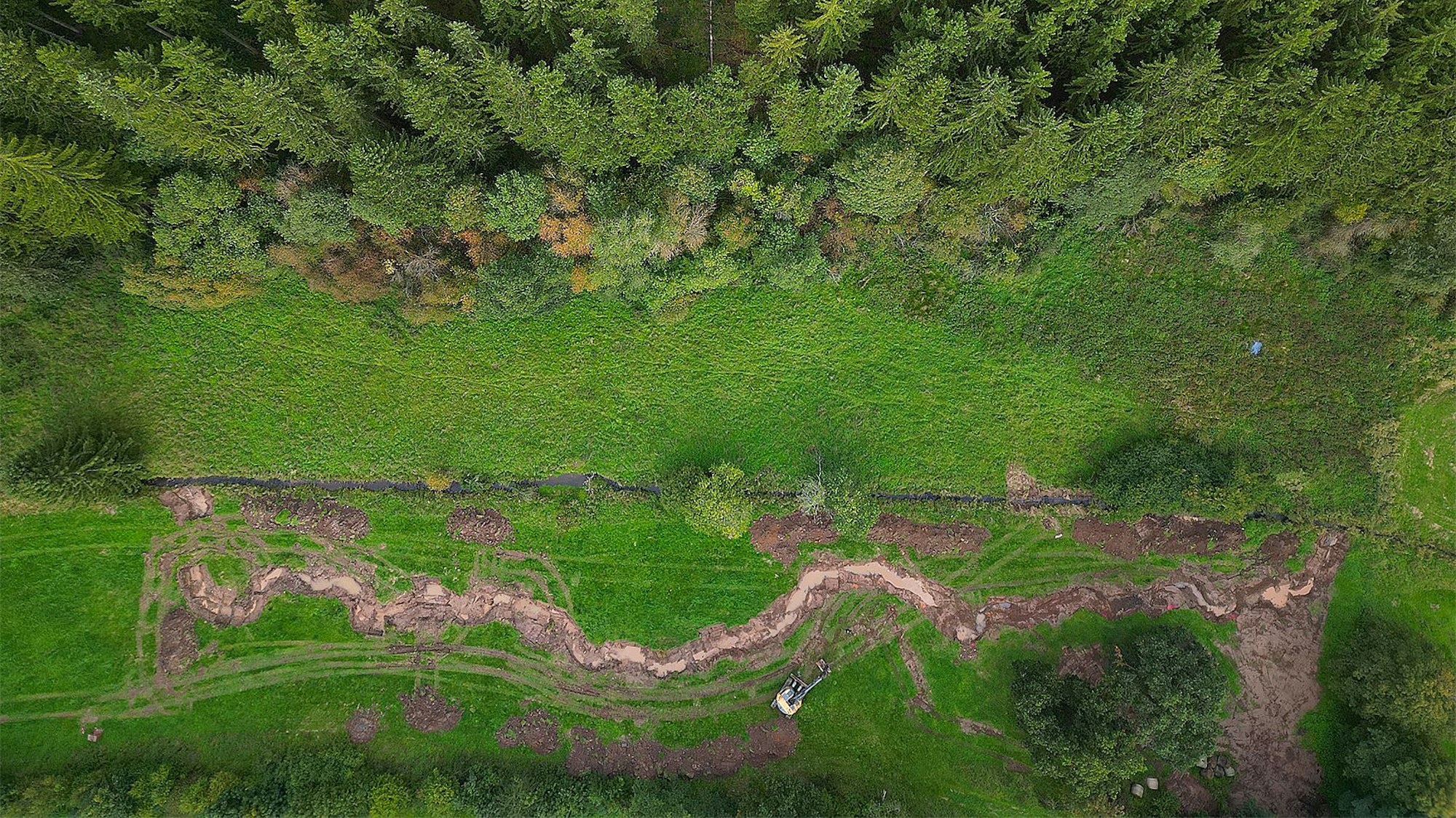 Das Luftbild zeigt unten den neuen, mäandernden Lauf der Berke. Darüber ist der gerade, alte Bachlauf zu erkennen, oben im Bild sind Bäume.