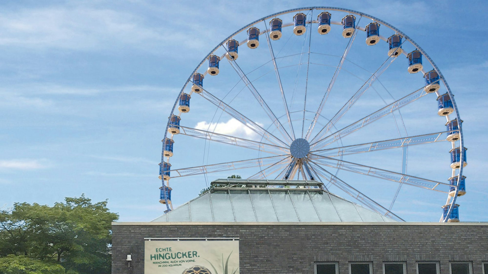 Das Foto zeigt das Riesenrad am Kölner Zoo.