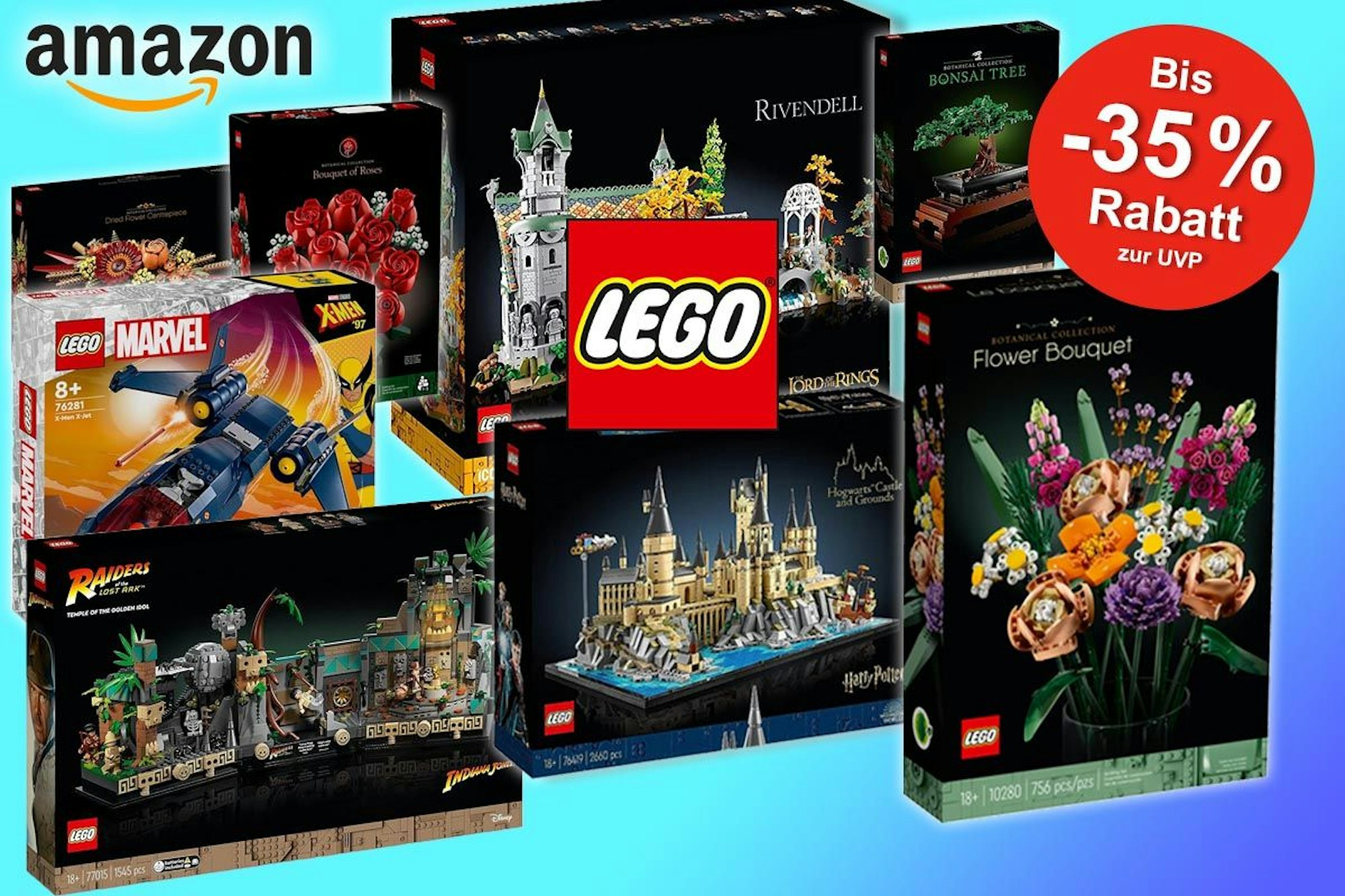 Lego Sets von Lego Botanik Kollektion, Marvel, Indiana Jones, Harry Potter bei Amazon.