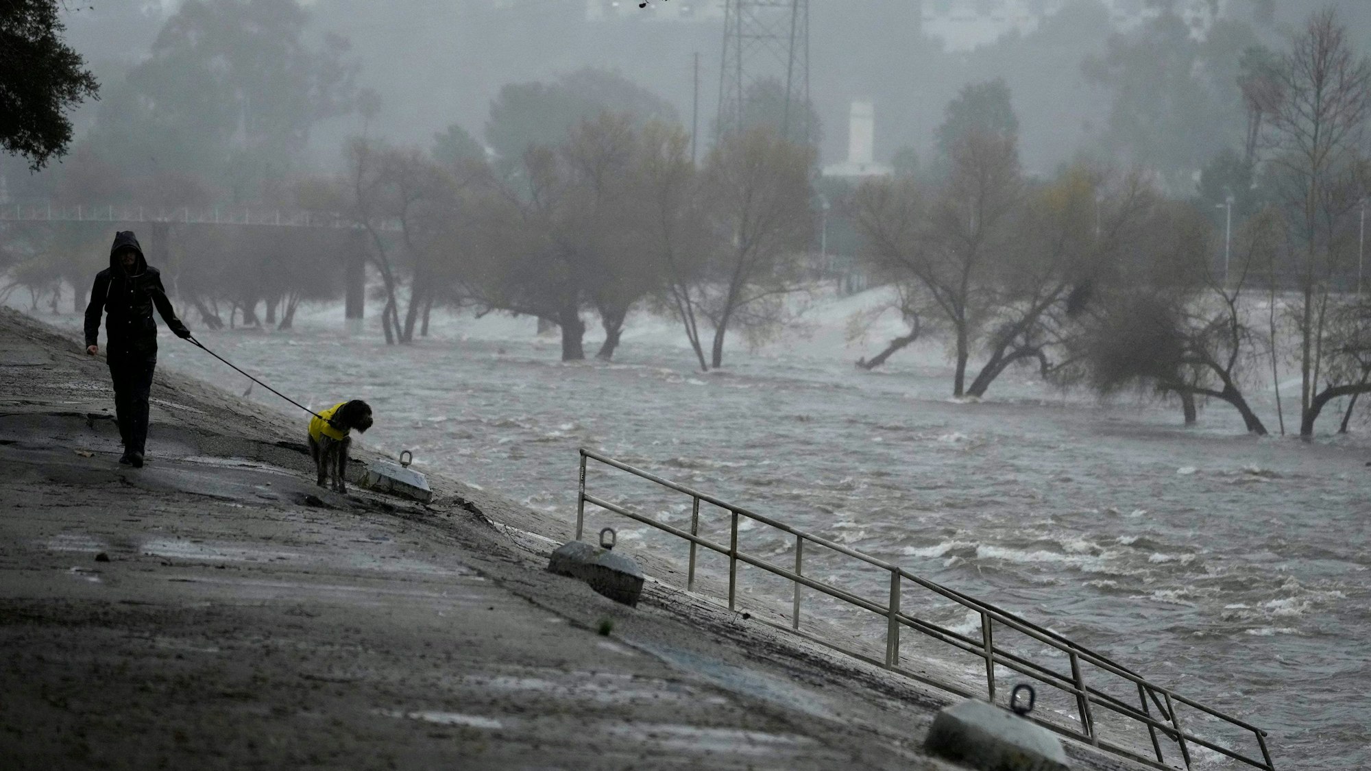 Ein Mann geht mit einem Hund entlang eines überfluteten Kanals in Los Angeles. Durch schwere Unwetter sind in der Stadt in wenigen Tagen mehr als 300 Liter Regen pro Quadratmeter gefallen.