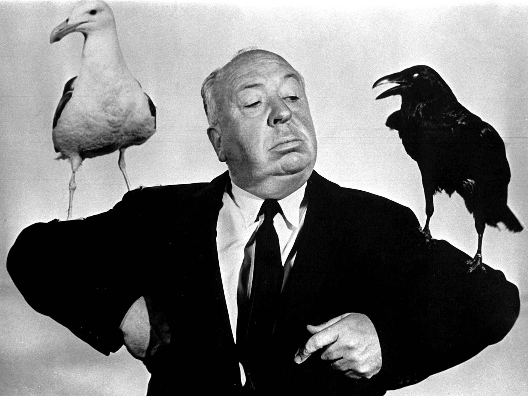 Alfred Hitchcock im Film "Die Vögel"