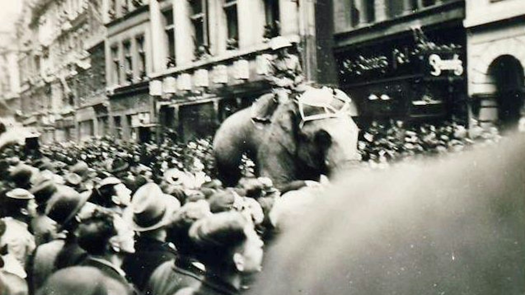 Eine Schwarz-Weiß-Fotografie zeigt den Rosenmontagsumzug, inmitten der Menge reitet ein Mann auf einem Elefanten.