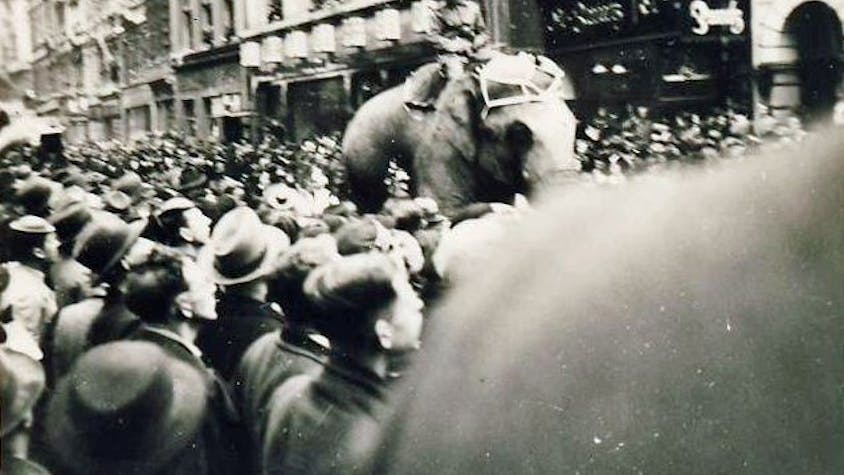Eine Schwarz-Weiß-Fotografie zeigt den Rosenmontagsumzug, inmitten der Menge reitet ein Mann auf einem Elefanten.&nbsp;