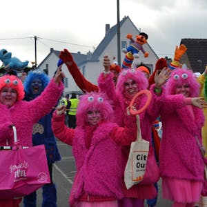Plüsch-Kostüme in pink, blau, gelb und grün tragen die Karnevalisten, die die  Sesamstraße als Motto haben.