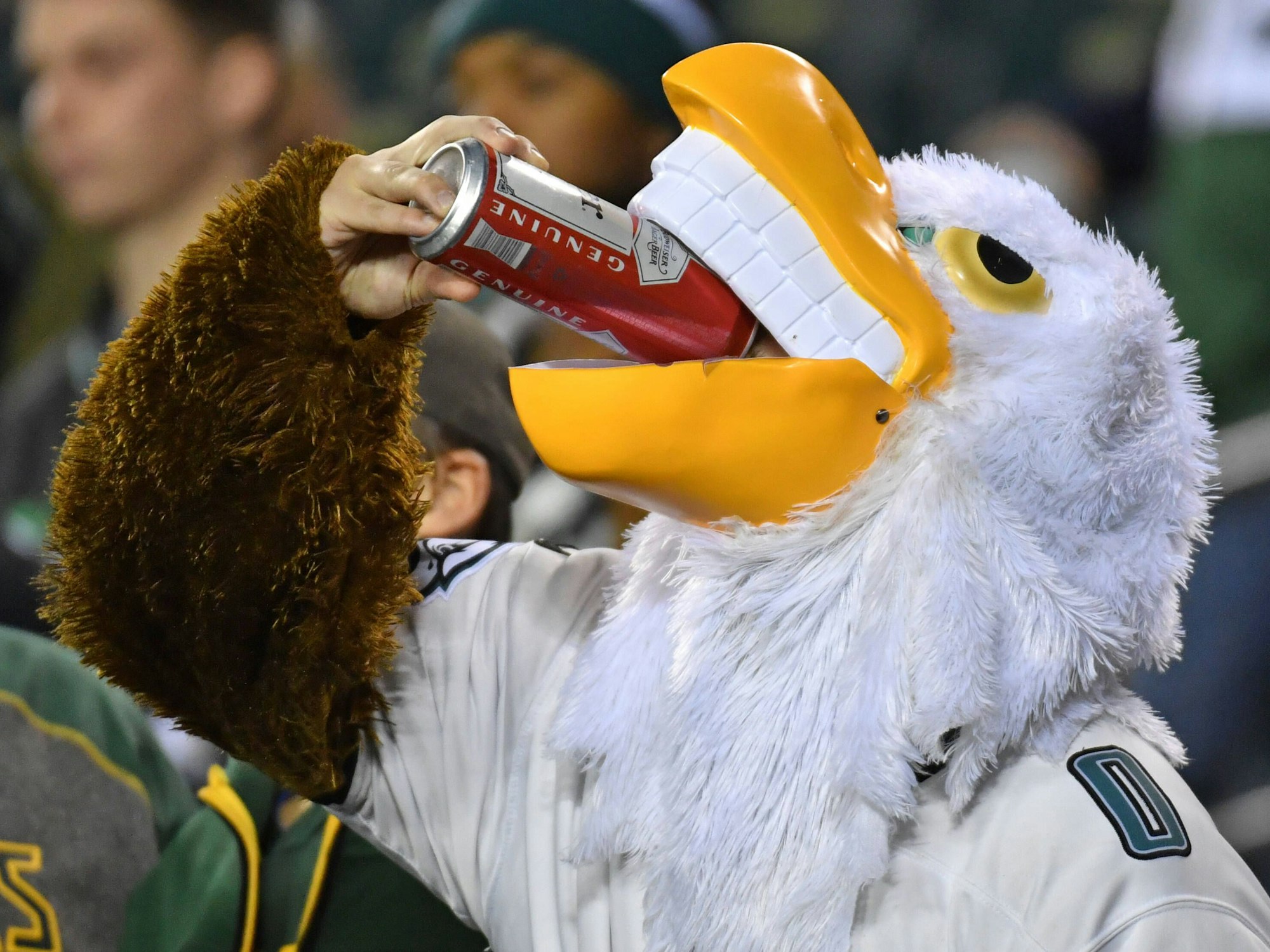 Ein NFL-Fan im Adler-Kostüm trinkt Bier aus der Dose.