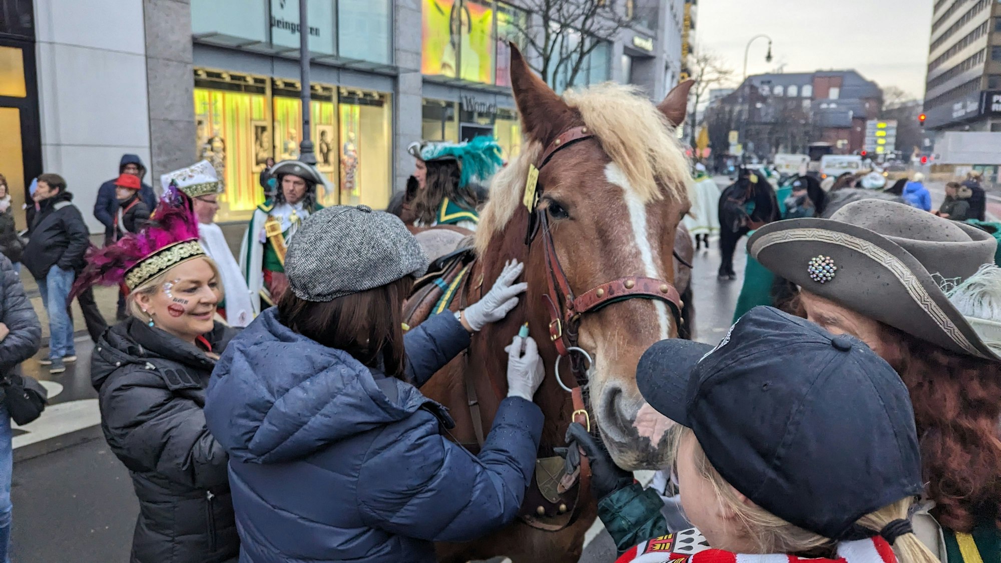 Am Friesenplatz werden die teilnehmenden Pferde beprobt.