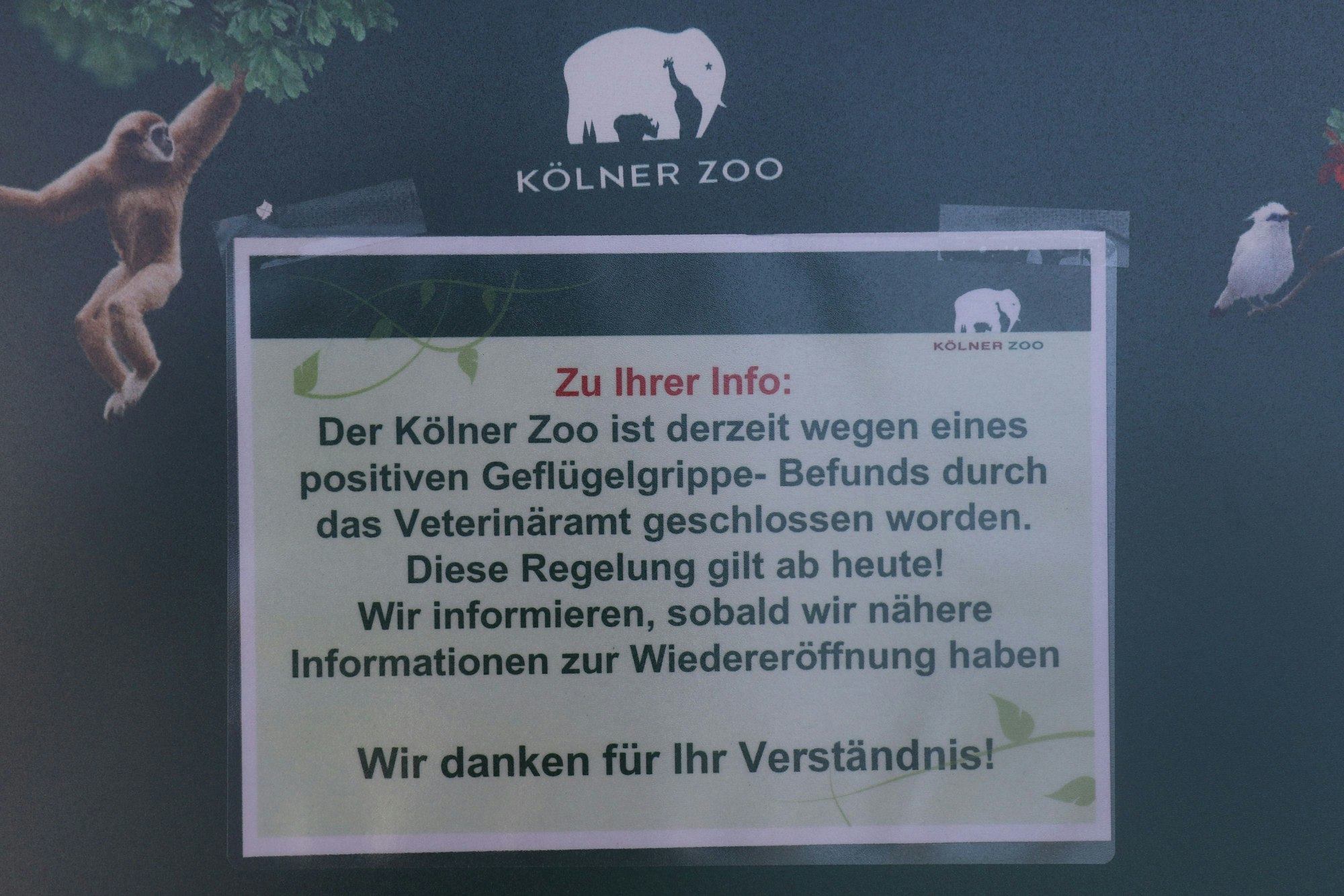 13.02.2024, Köln: Ein Hinweisschild vor dem Haupteingang des Kölner Zoos vertröstet die Besucher. Wegen eines Falls von Geflügelgrippe bleibt der Tierpark bis auf weiteres geschlossen.  Foto: Arton Krasniqi
