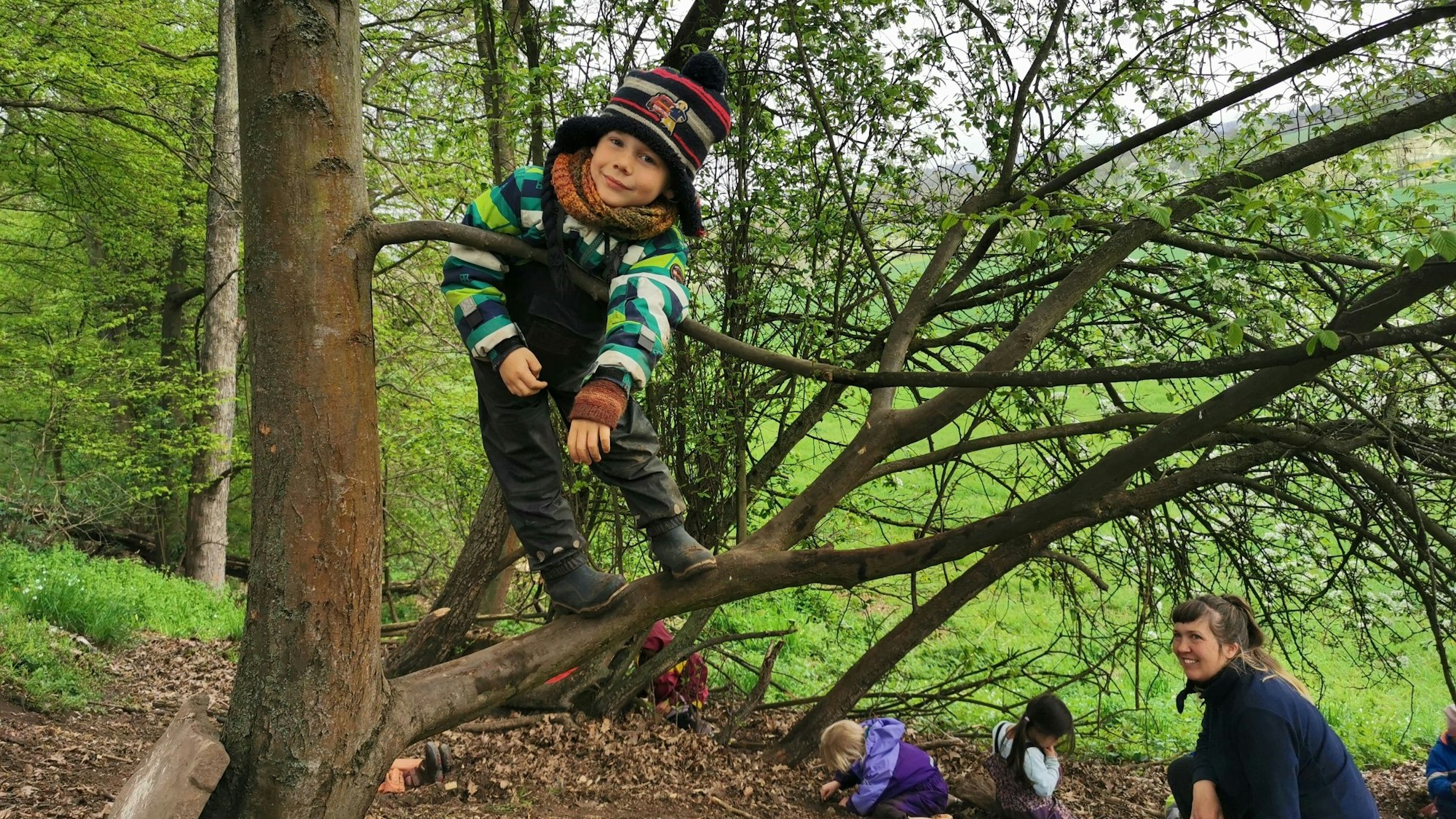 Ein Kind klettert auf einem Baum.