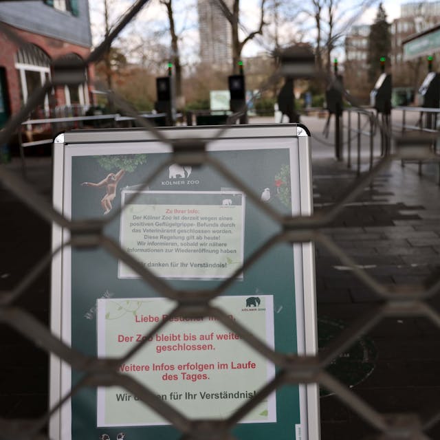 Der Zoo in Köln ist derzeit wegen des Ausbruchs der Vogelgrippee geschlossen. Hinter dem geschlossenen Gitter steht eine Hinweistafel.