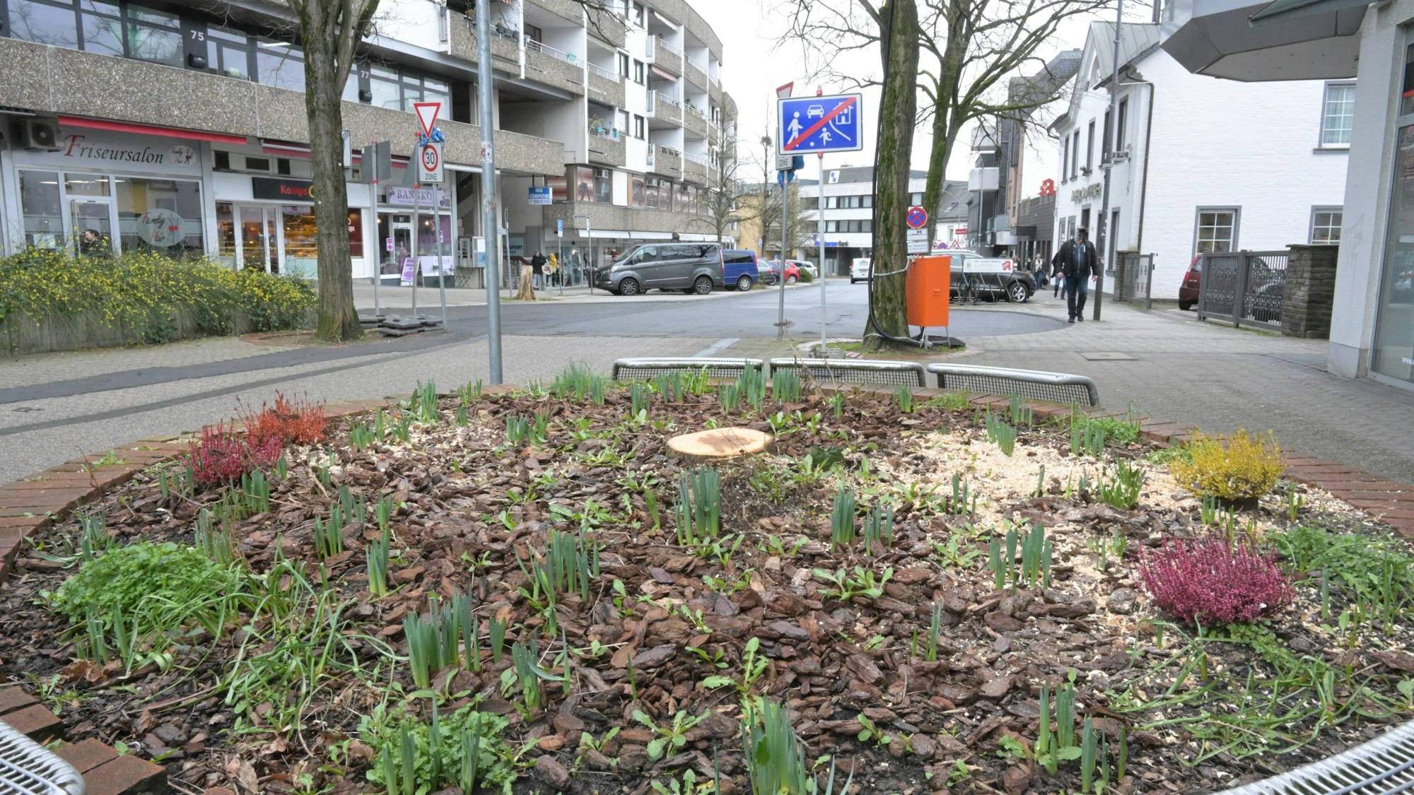 Das Foto zeigt einen Baumstumpf an der Schloßstraße