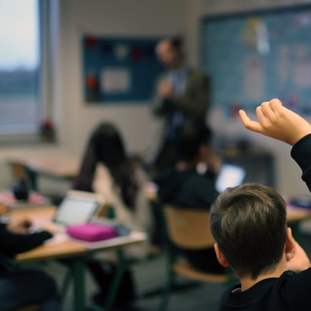 Ein Schüler hebt im Unterricht seine Hand hoch.&nbsp;