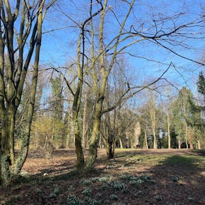 Der Bedburger Schlosspark wurde nach Abholzungen und Umbauarbeiten nun wieder für Spaziergänger geöffnet. Die Stadt warnt aber vor matschigen Wegen.