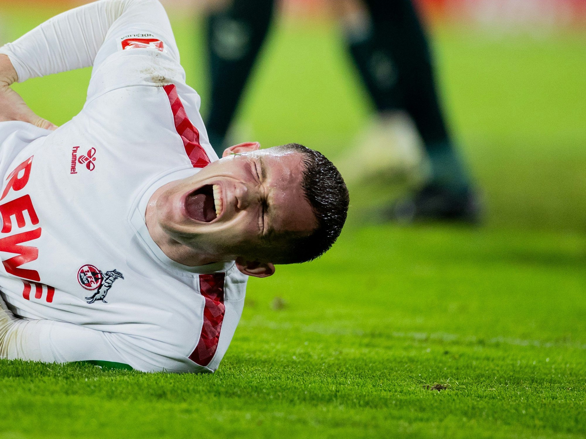 1. FC Köln gegen Werder Bremen: Kölns Luca Kilian wälzt sich schreiend auf dem Rasen.