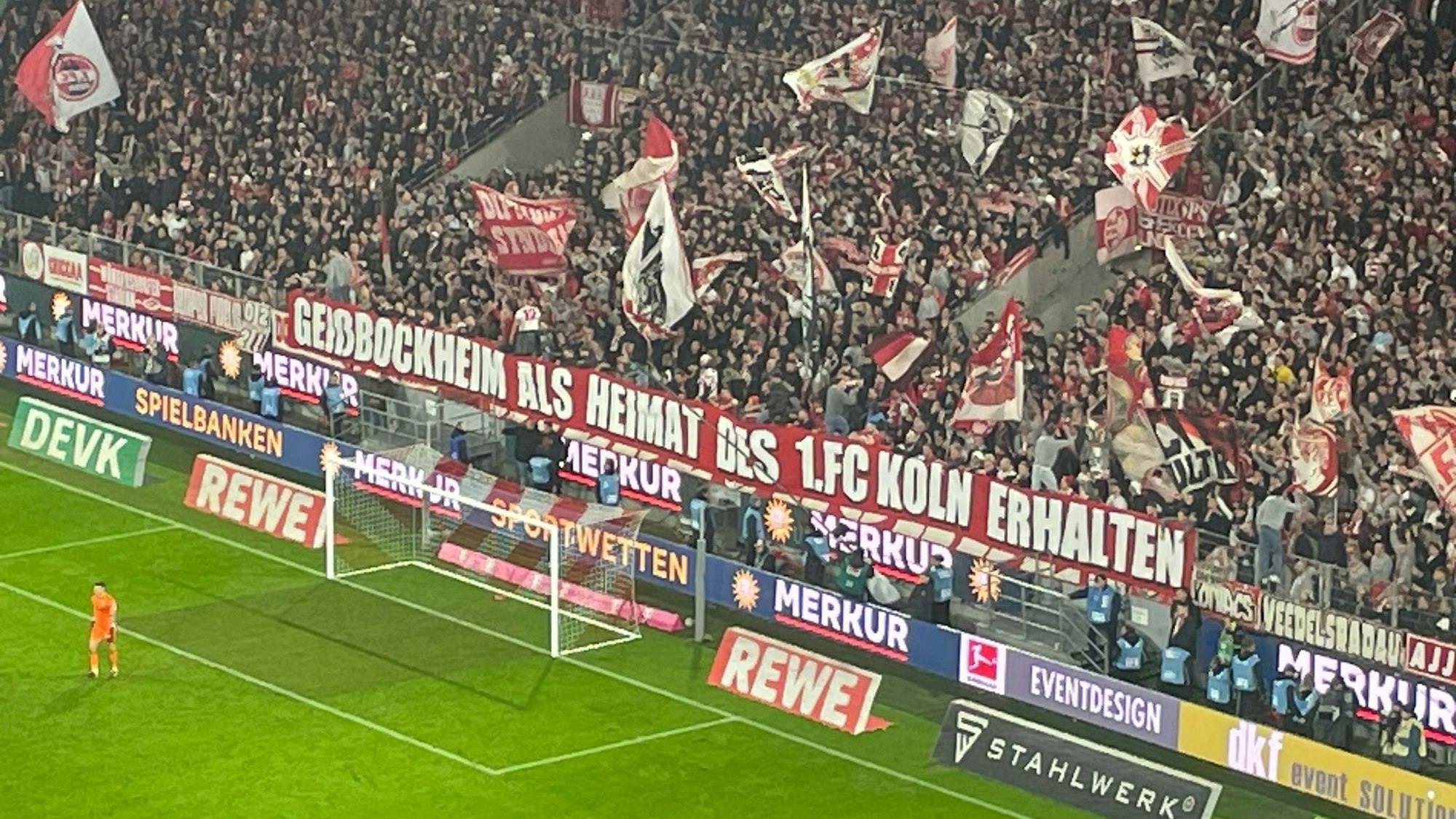 Fans in der Südkurve präsentieren am 17.2.2024 beim Spiel des FC gegen Werder Bremen ein Transparent zum Erhalt des Geißbockheims.