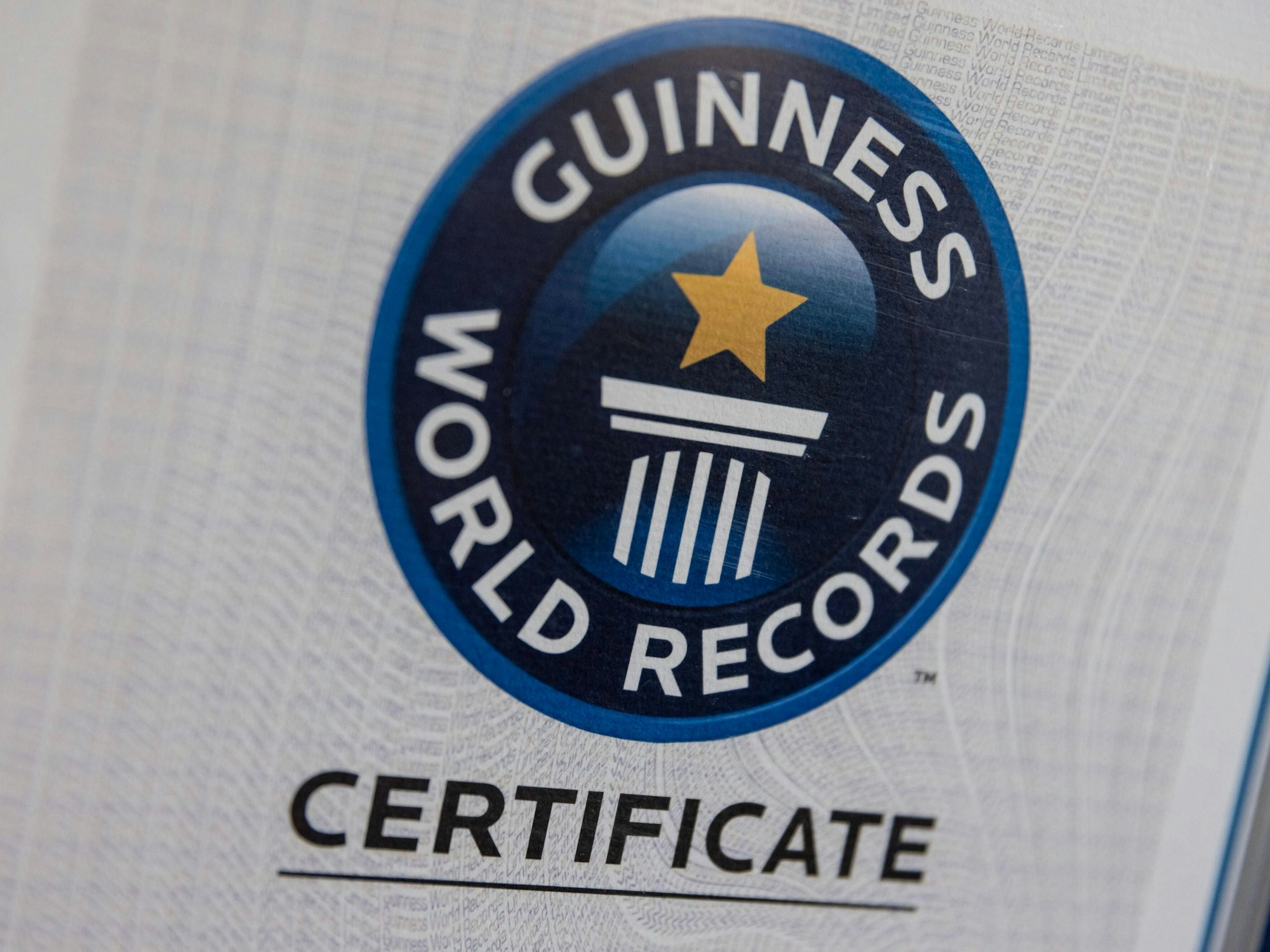 Das Logo der Guinness World Records.