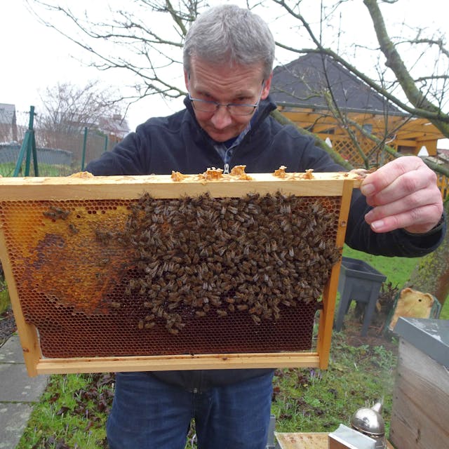 Der Bornheimer Imker Friedel Mirbach kümmert sich auch im Winter um seine Bienenvölker.
