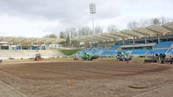 Ein neuer Rasen wird im Ludwigsparkstadion verlegt.
