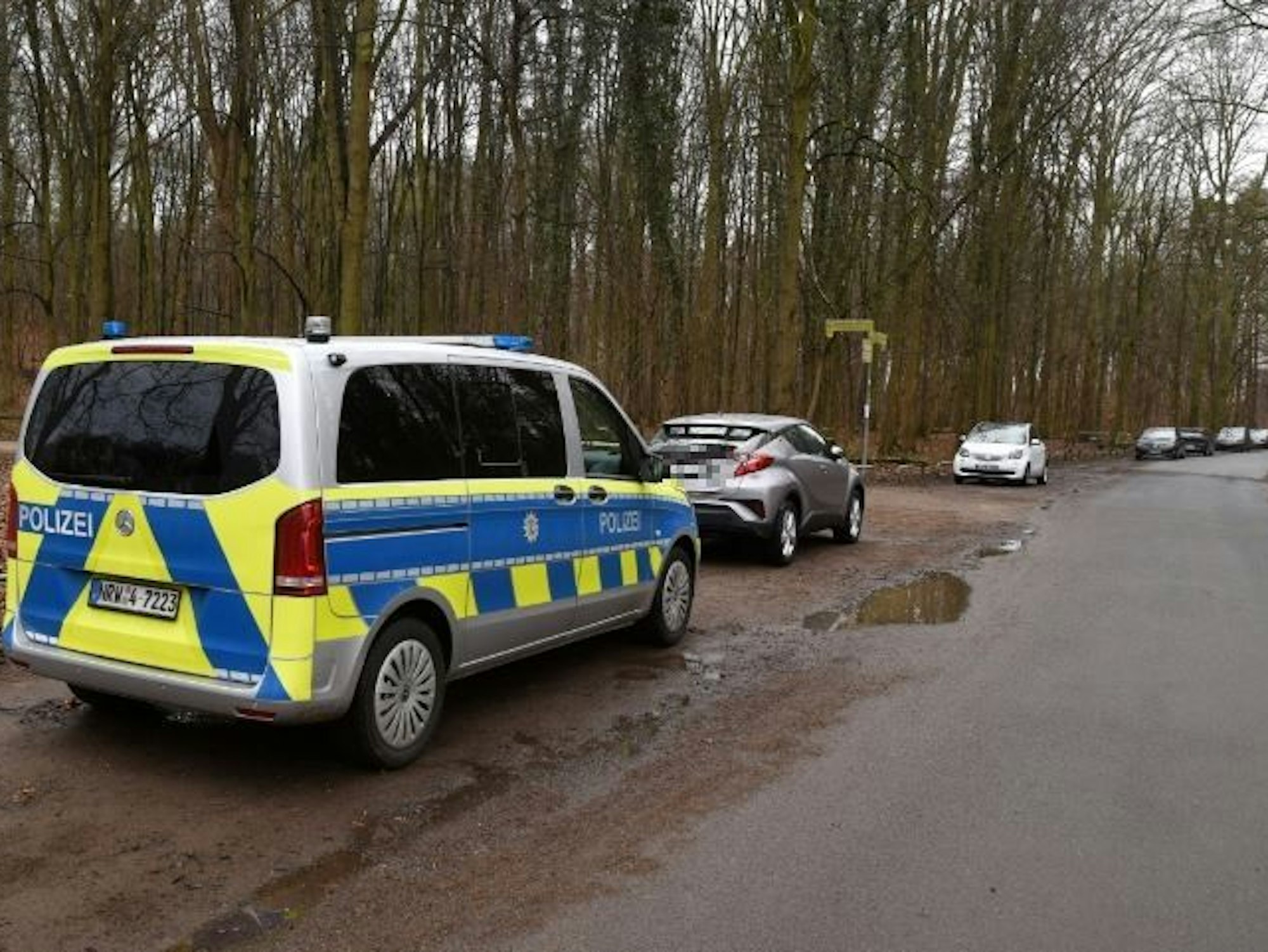 Streifenwagen der Polizei steht hinter anderen Autos an einem Waldstück in Köln.