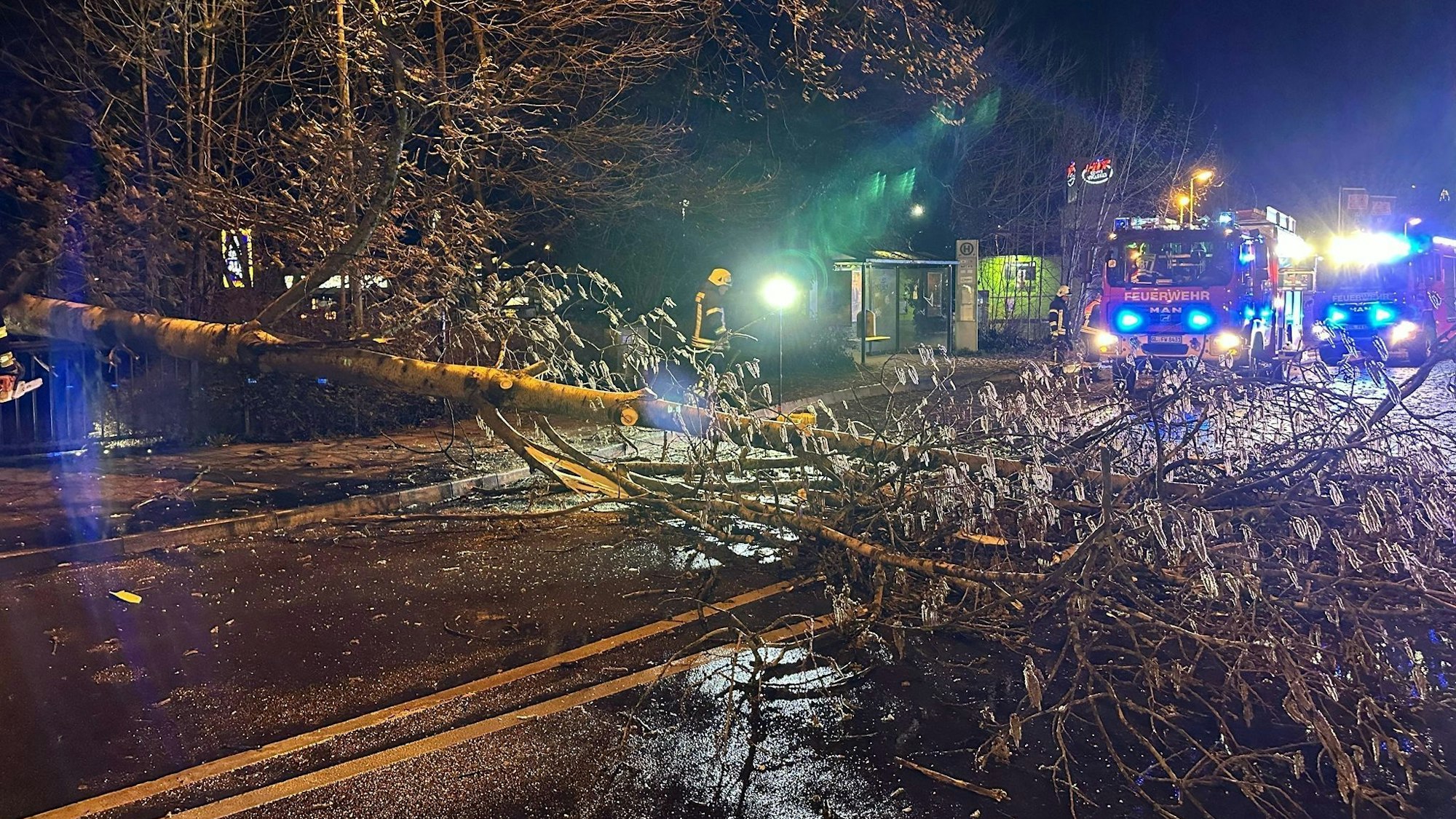 Ein Baum ist über eine Straße gestürzt, dahinter steht ein Feuerwehrfahrzeug mit Blaulicht.
