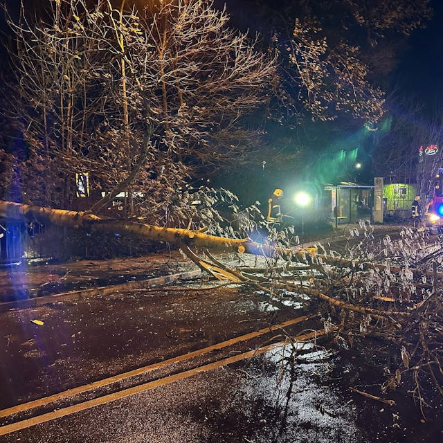 Ein Baum ist über eine Straße gestürzt, dahinter steht ein Feuerwehrfahrzeug mit Blaulicht.