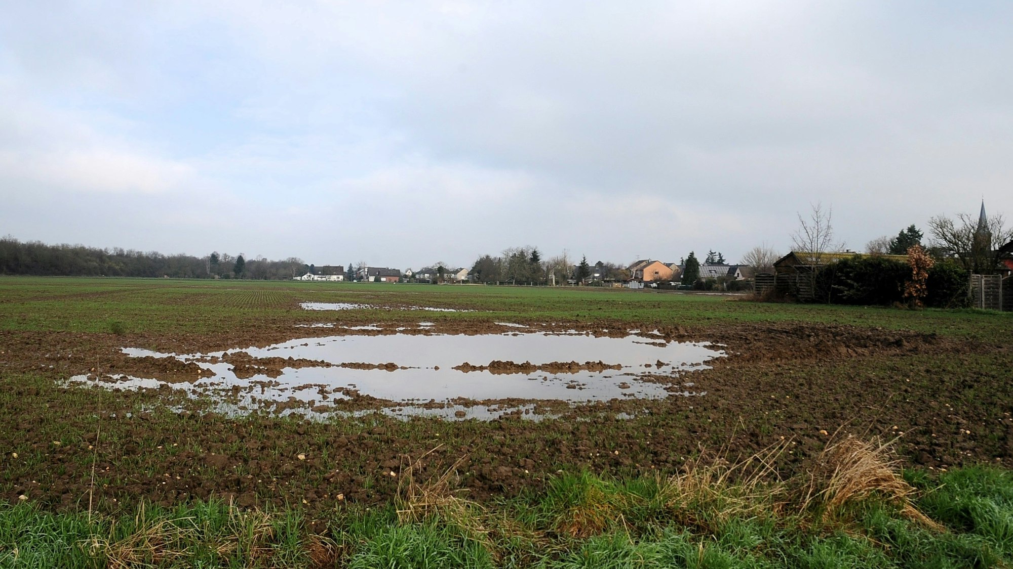 Zu sehen ist eine landwirtschaftliche Fläche in Bliesheim.
