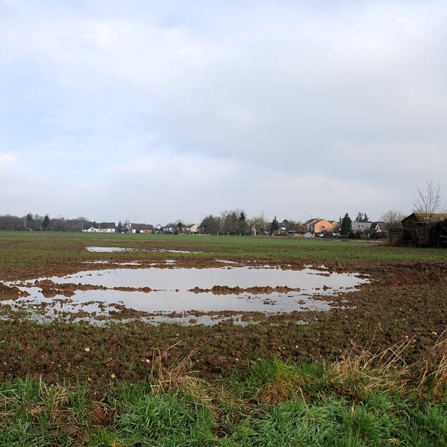 Zu sehen ist eine landwirtschaftliche Fläche in Bliesheim.&nbsp;