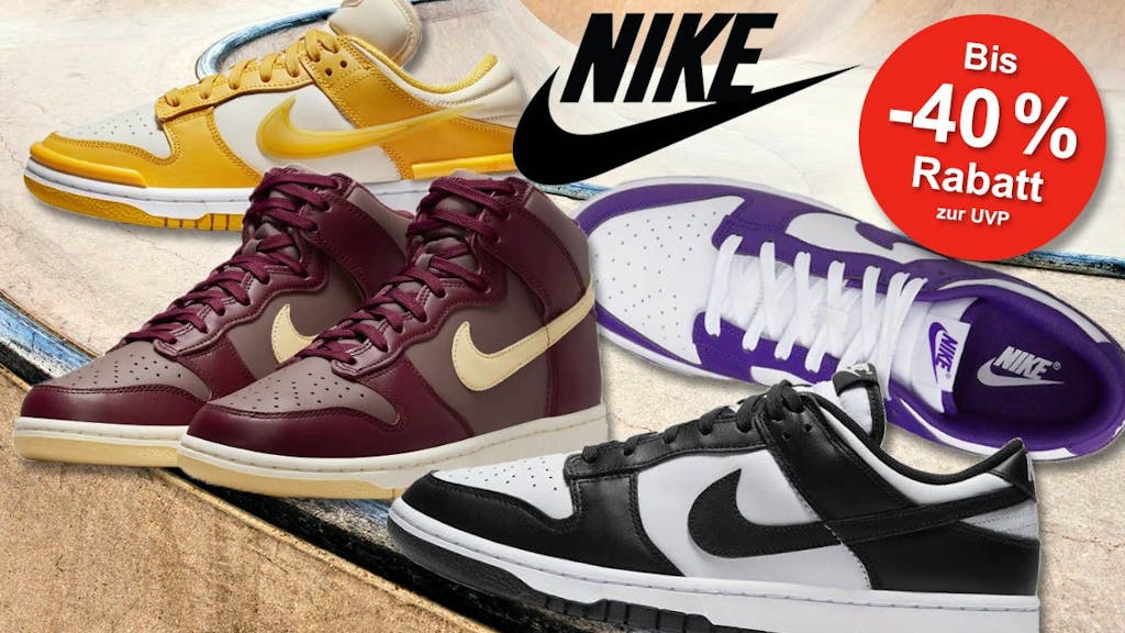 Nike Dunk Low und High Sneaker in verschiedenen Designs, Im Hintergrund Skateboard Halfpipe.