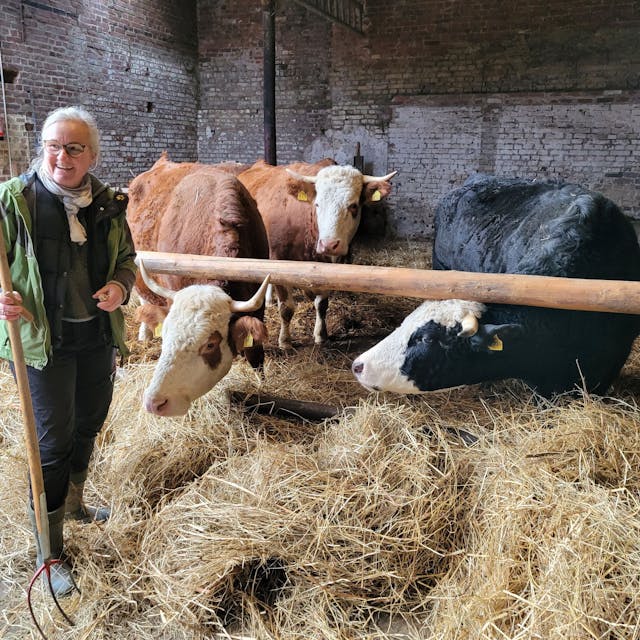 Eine Frau steht in einem Stall, in einer Hand hält sie eine Heugabel, neben und hinter ihr sind Kühe zu sehen.