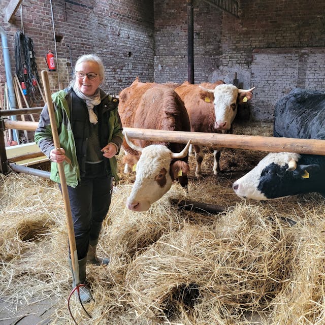 Eine Frau steht in einem Stall, in einer Hand hält sie eine Heugabel, neben und hinter ihr sind Kühe zu sehen.