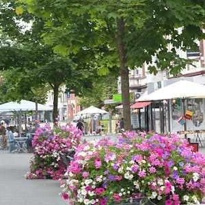 Das Foto zeigt Pflanzkübel in der Bergisch Gladbacher Fußgängerzone.