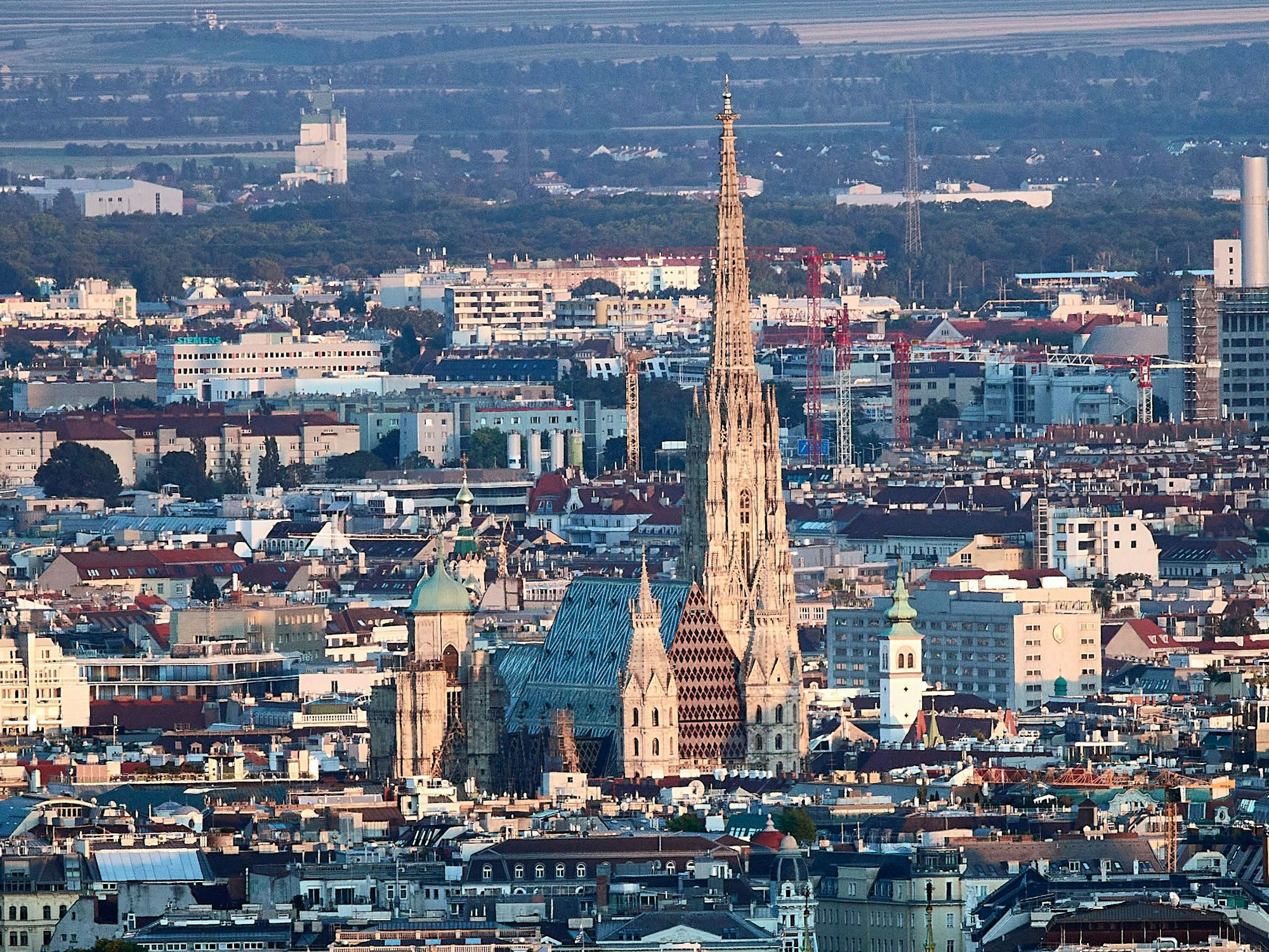 Blick auf die Stadt Wien, hier im Juli 2023.