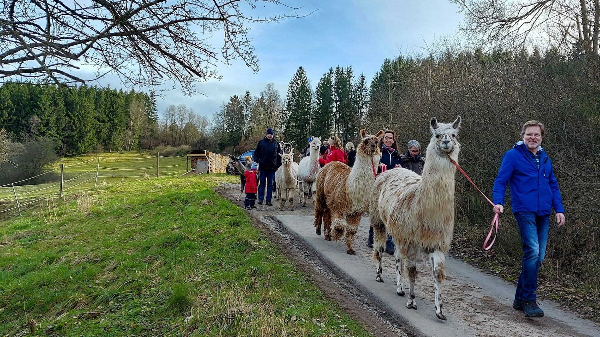 Das Bild zeigt einige der Teilnehmer bei ihrem Spaziergang mit den Tieren auf einem Weg.
