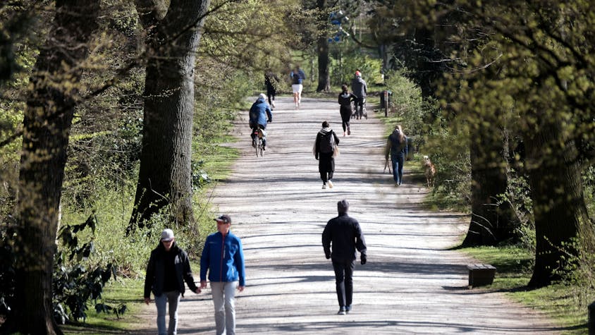 Spaziergänger im Blücherpark in Bilderstöckchen