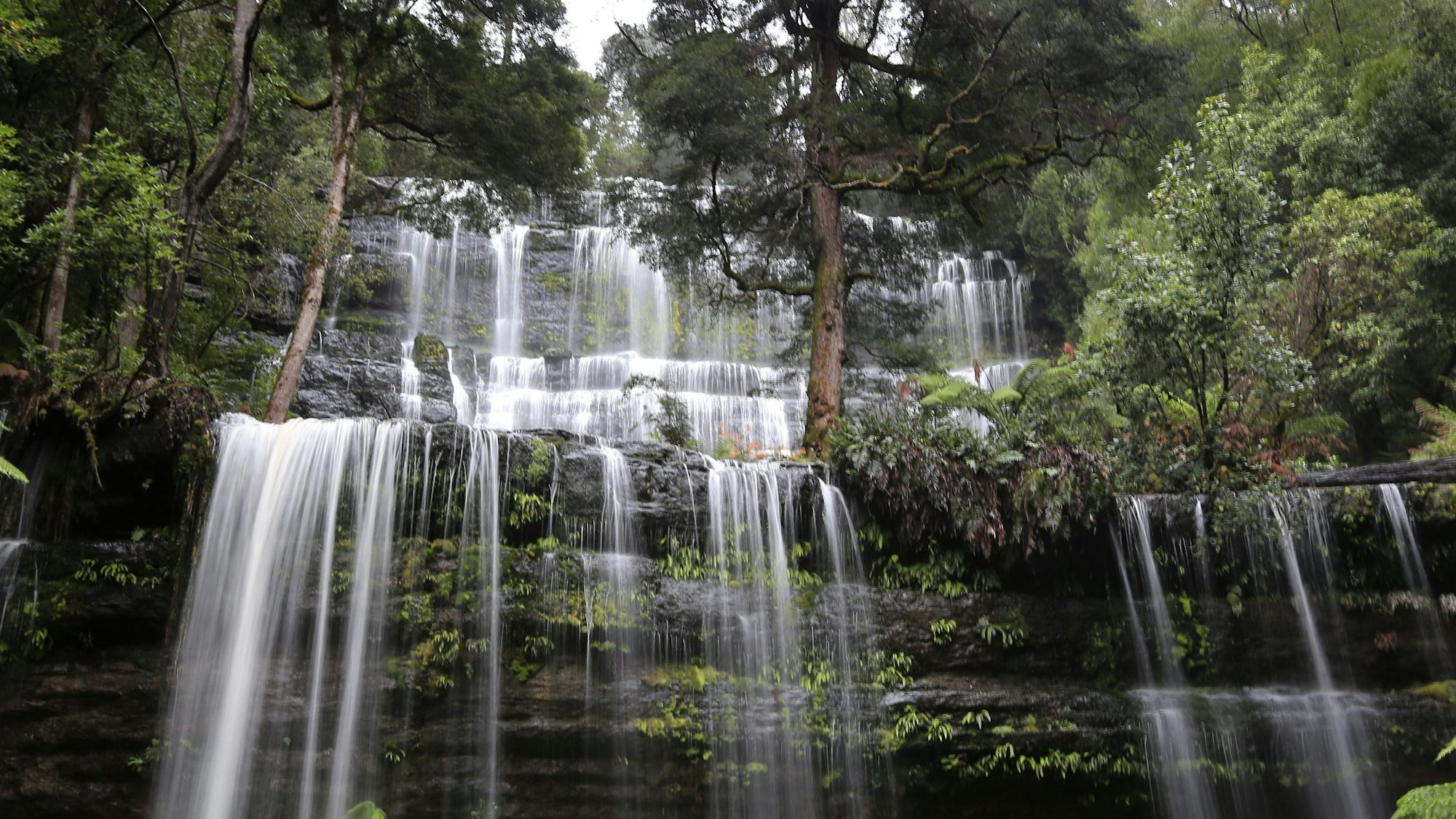 Ein am 5. Juni 2014 veröffentlichtes Foto zeigt die Russell Falls, einen Wasserfall im Mt Field National Park, Tasmanien, Australien, am 21. Mai 2014. Die Aufnahme dient als Symbolfoto, es handelt sich nicht um den Ort des Unglücks.