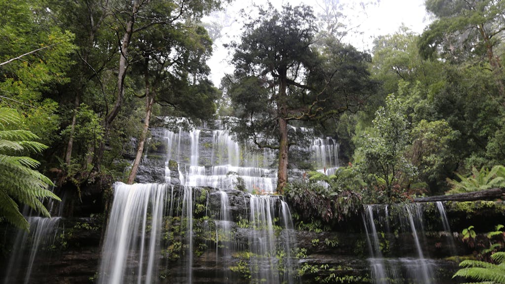 Ein am 5. Juni 2014 veröffentlichtes Foto zeigt die Russell Falls, einen Wasserfall im Mt Field National Park, Tasmanien, Australien, am 21. Mai 2014. Die Aufnahme dient als Symbolfoto, es handelt sich nicht um den Ort des Unglücks.