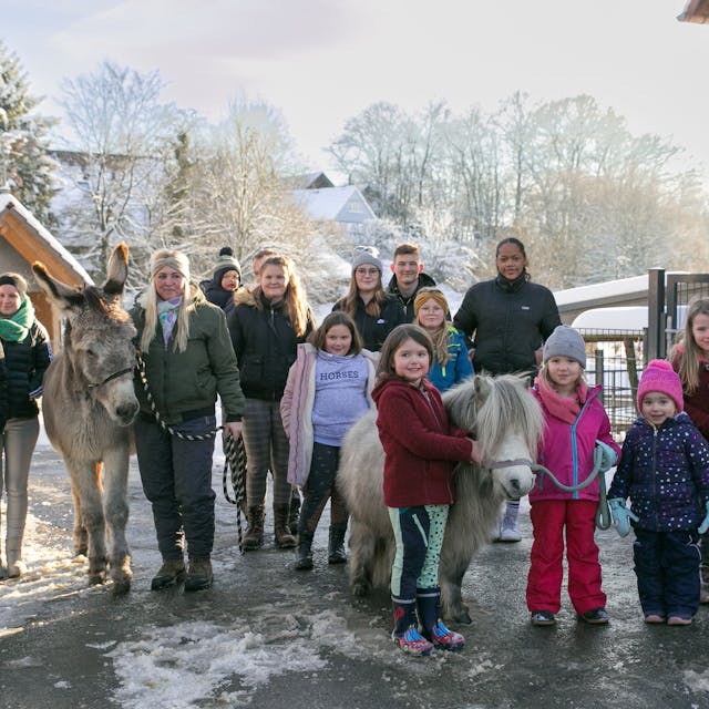 Wandern mit Ponys: Viele Besucher hat der Hof von Mandy Kraus.