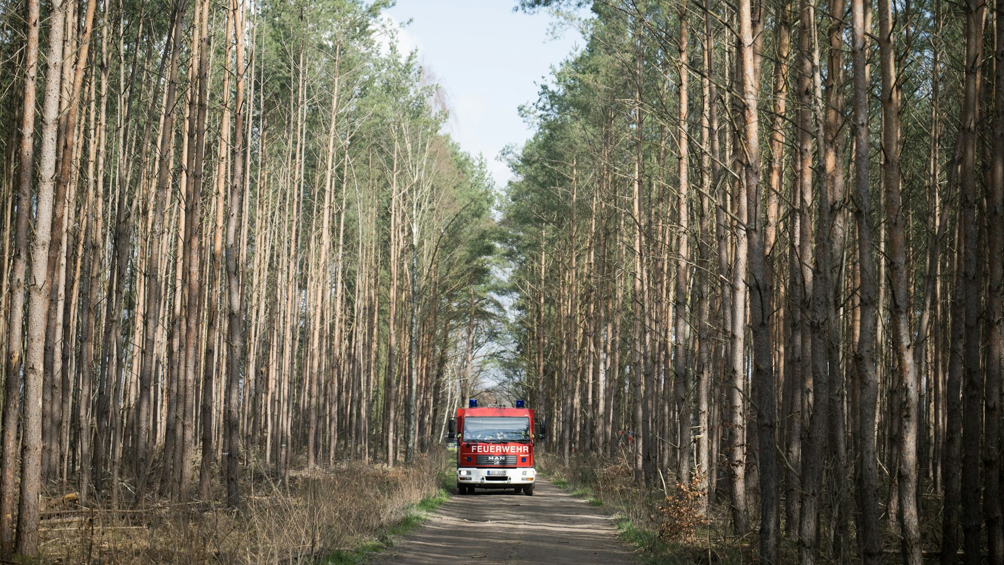 Ein Fahrzeug der Feuerwehr steht auf einem Waldweg in der Nähe des verbrannten Strommasts. Im Internet wurde ein Bekennerschreiben veröffentlicht.
