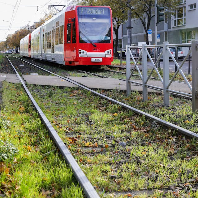 Begrünte Gleise, wie hier an der Haltestelle Melaten an der Aachener Straße, soll es bald auch rund um den Barbarossaplatz geben.