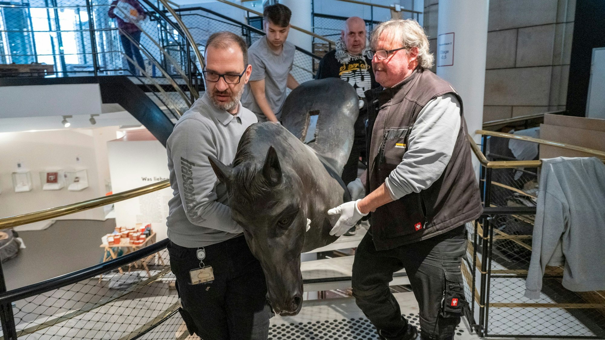 Ein lebensgroßes historisches Holzpferd kommt im neuen Kölnische Stadtmuseum an.